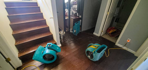 Professional Water damage restoration in Joanna, SC