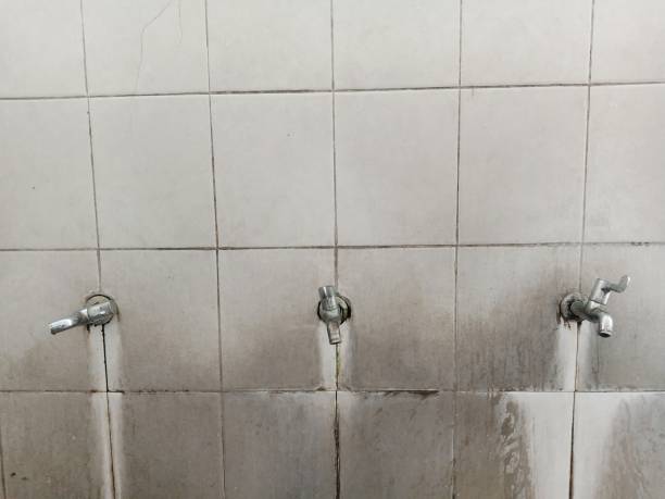 Best Water damage mitigation services  in Joanna, SC
